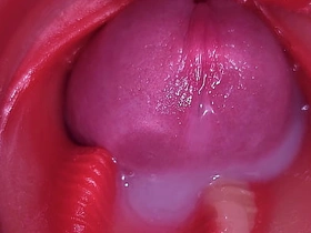 阴道内超级射精 超清内窥镜头 4K画质 korean gay porn websites