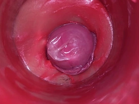 阴道内镜头：浓精爆射！4K高清内射ASMR极致体验 korean gay group porn